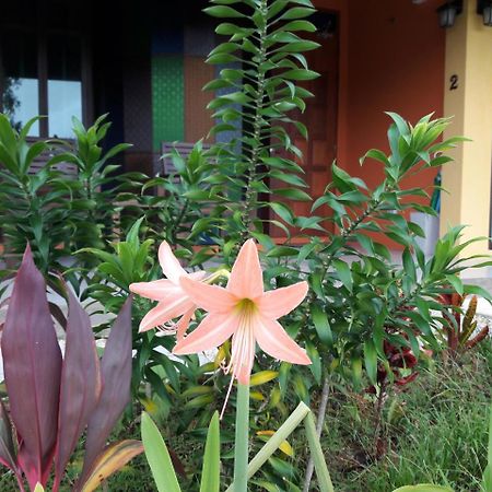 Raintree Bangsak Villa Khao Lak Exterior foto