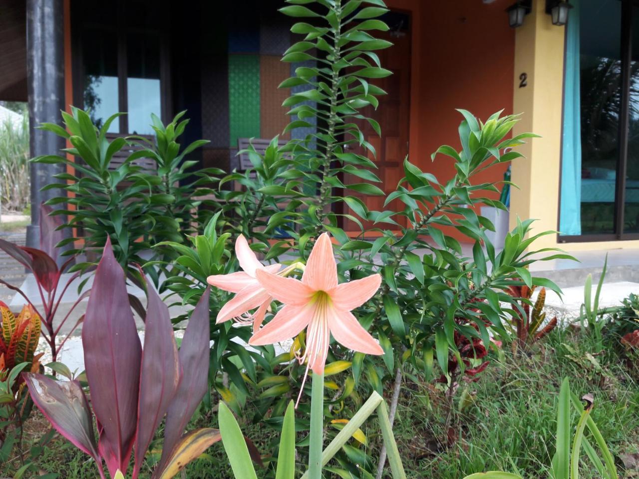 Raintree Bangsak Villa Khao Lak Exterior foto